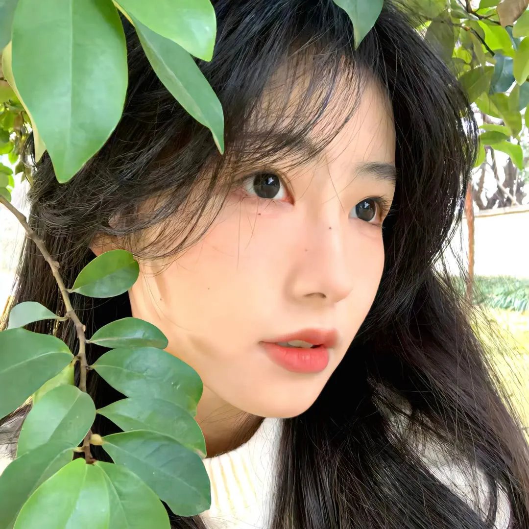 春日暖阳